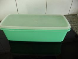 Tupperware grosse Frischhaltebox, grün, Top Zustand!