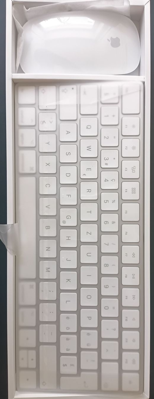 Apple Tastiere: Apple Magic Keyboard und Maus 2019 neuwertig – Nuovo (secondo la descrizione) da Zürich venduto da manolo23