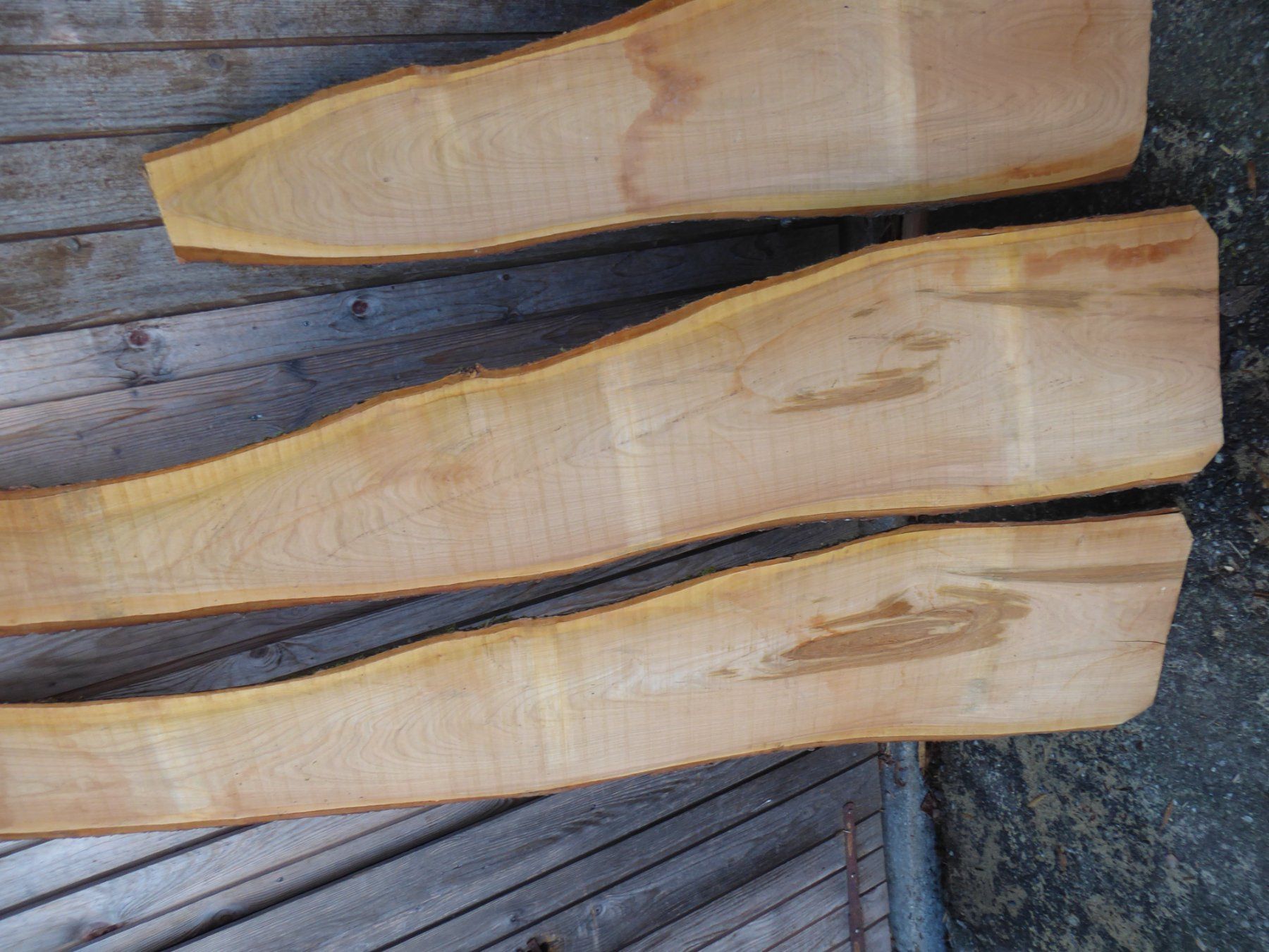 Articoli in legno: 3 Kirschbaumbrettli 16 mm – Nuovo (secondo la descrizione) da Sumiswald venduto da Hennri1 1