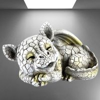 🐉Drachen-Baby Siebenschläfer sucht einen neuen Schlafplatz!
