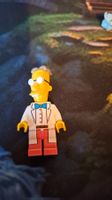 Lego Mini Figur Professor Frink