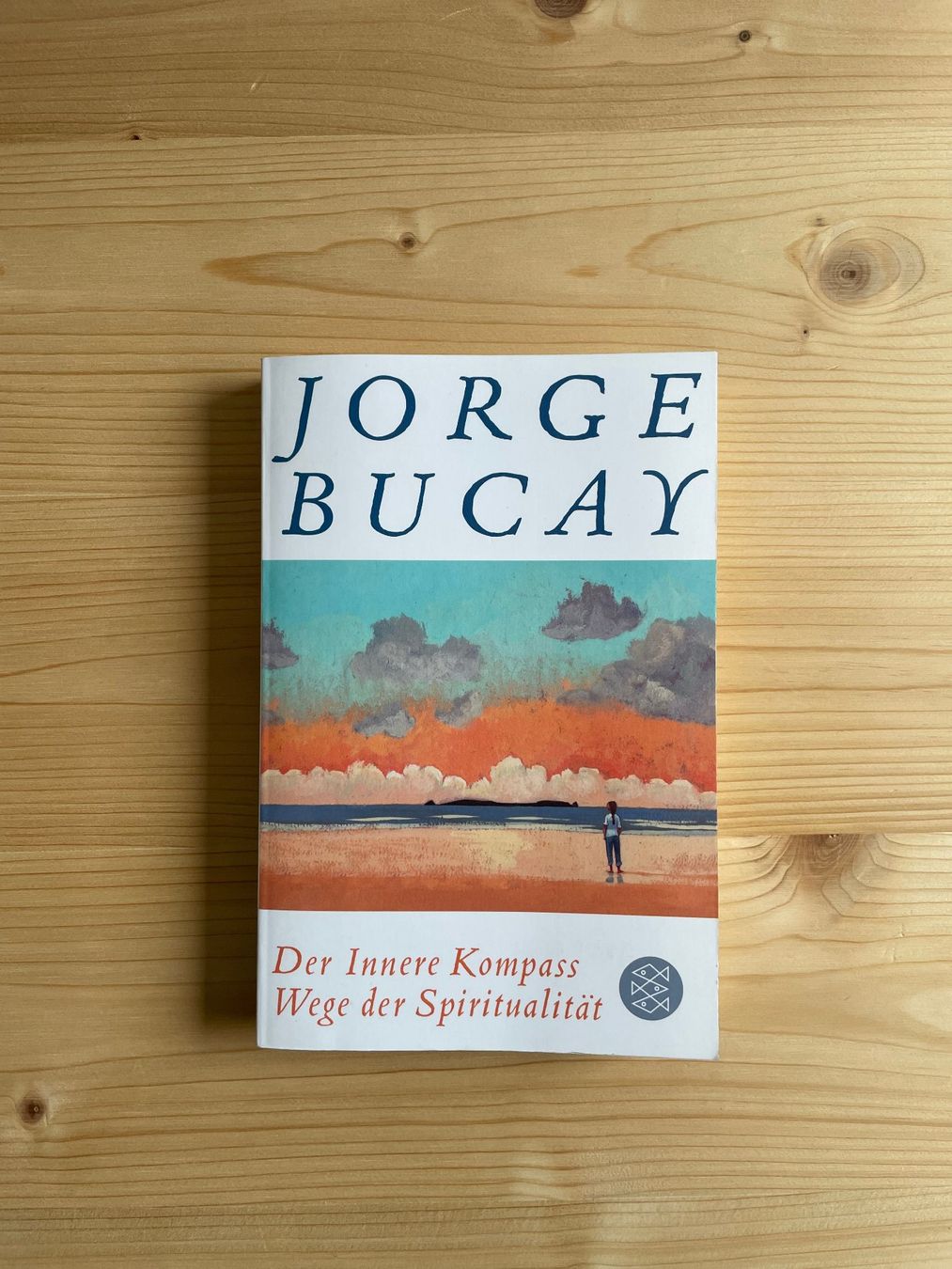 Libri: Jorge Bucay - Der innere Kompass – Usato da chur venduto da 8zeichen