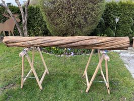 Zierbaumstamm verdreht 193cm