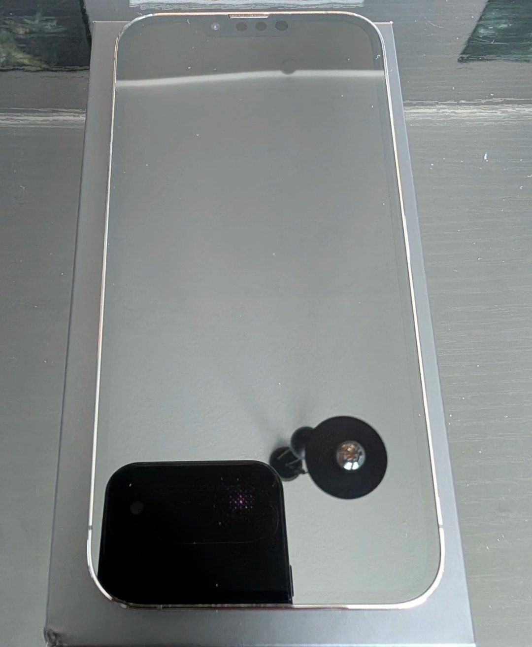 Apple Telefoni cellulari / Smartphones: iPhone 13 Pro Max (128GB) Akku 100% – Usato da Luzern venduto da Waince786 2
