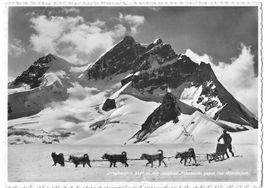 Jungfraujoch Hundeschlitten Polarhunde Feldpoststempel