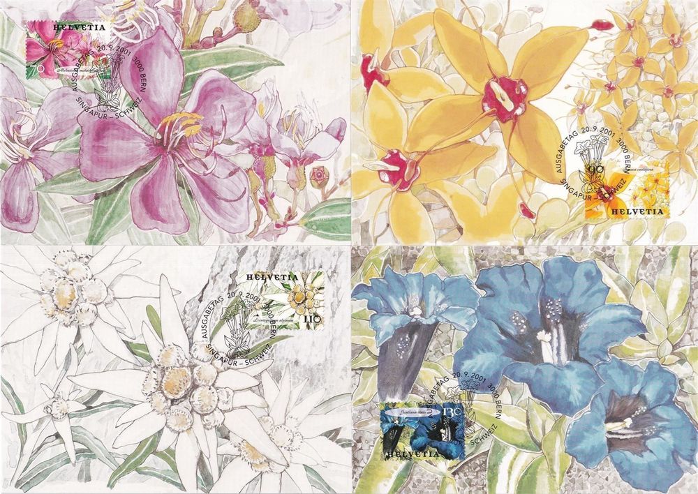 10291032 Maximumkarten Serie Kaufen auf Ricardo