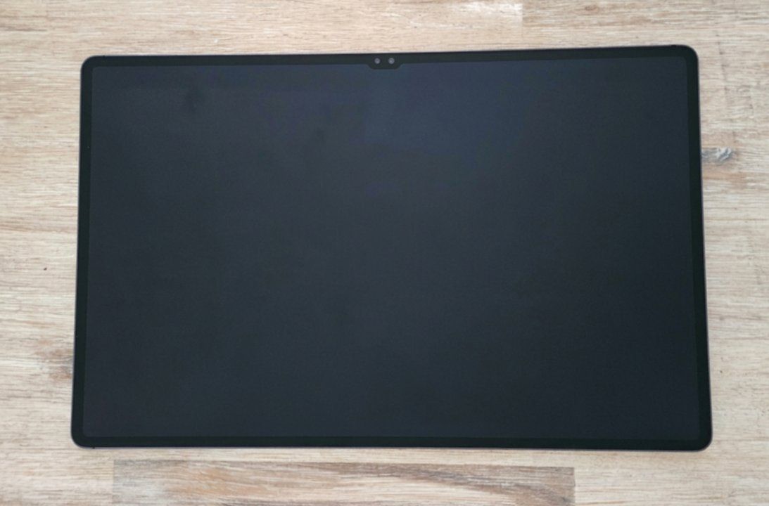 Samsung Tablet PC: Samsung Galaxy Tab S8 Ultra – Usato da Dübendorf venduto da bLarson 1