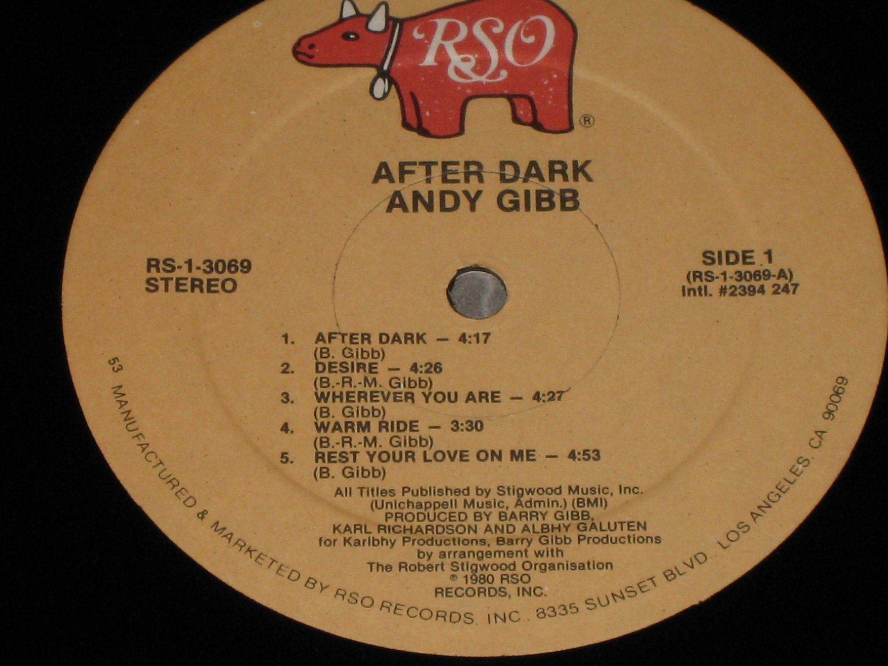 Dischi in vinile: LP - ANDY GIBB - AFTER DARK – Usato da Steckborn venduto da Quo7 1