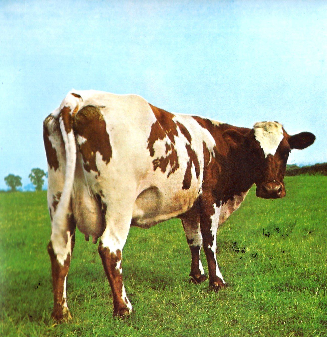 CDs: Pink Floyd ATOM HEART MOTHER  Prog Rock Psychedelic Rock CD – Gebraucht aus Kandergrund von Sososo