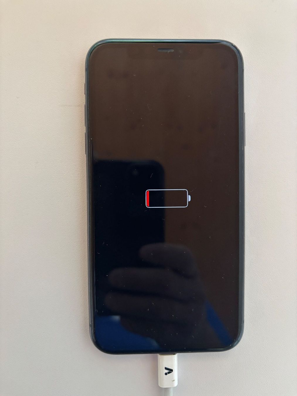 Apple Portables: Apple iPhone 11 64 GB – D'occasion à Sonnental par sunnyside_m 1