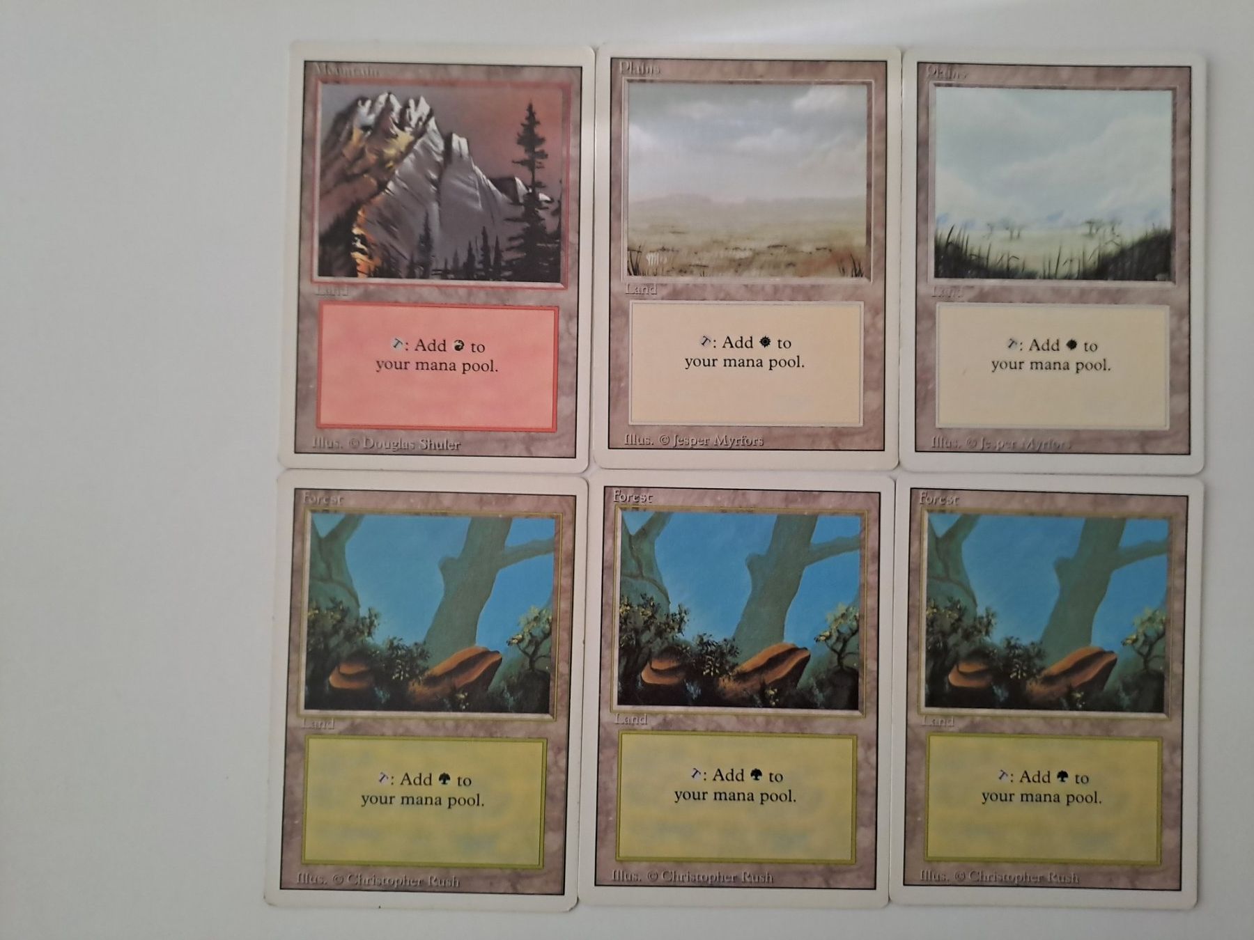 Magic The Gathering Carte collezionabili: MTG 14 Länder Revised – Usato da Lüchingen venduto da taumin 1