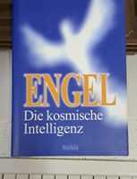 Engel - Die kosmische Intelligenz
