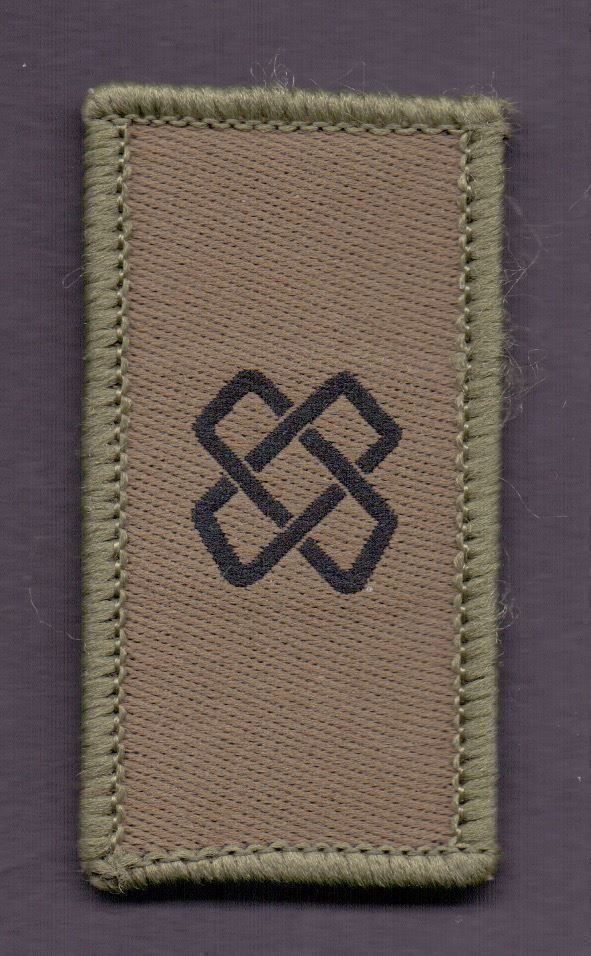 Schweizer Armee Placchette & Badge: Logistiktruppen Klett – Usato da Koblenz venduto da Himmelsreiter