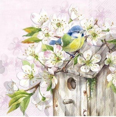 Tovaglioli: Serviette cherry blossom (1648) 2Stk. – Nuovo (secondo la descrizione) da Schlatt TG venduto da kreativ-atelier