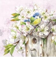 Serviette cherry blossom (1648) 2Stk.