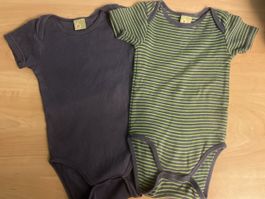 2 dpam Baby Bodys Gr. 86 kurzarm Sommer 18 Monate 