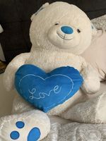 Mittelgrosser Teddy