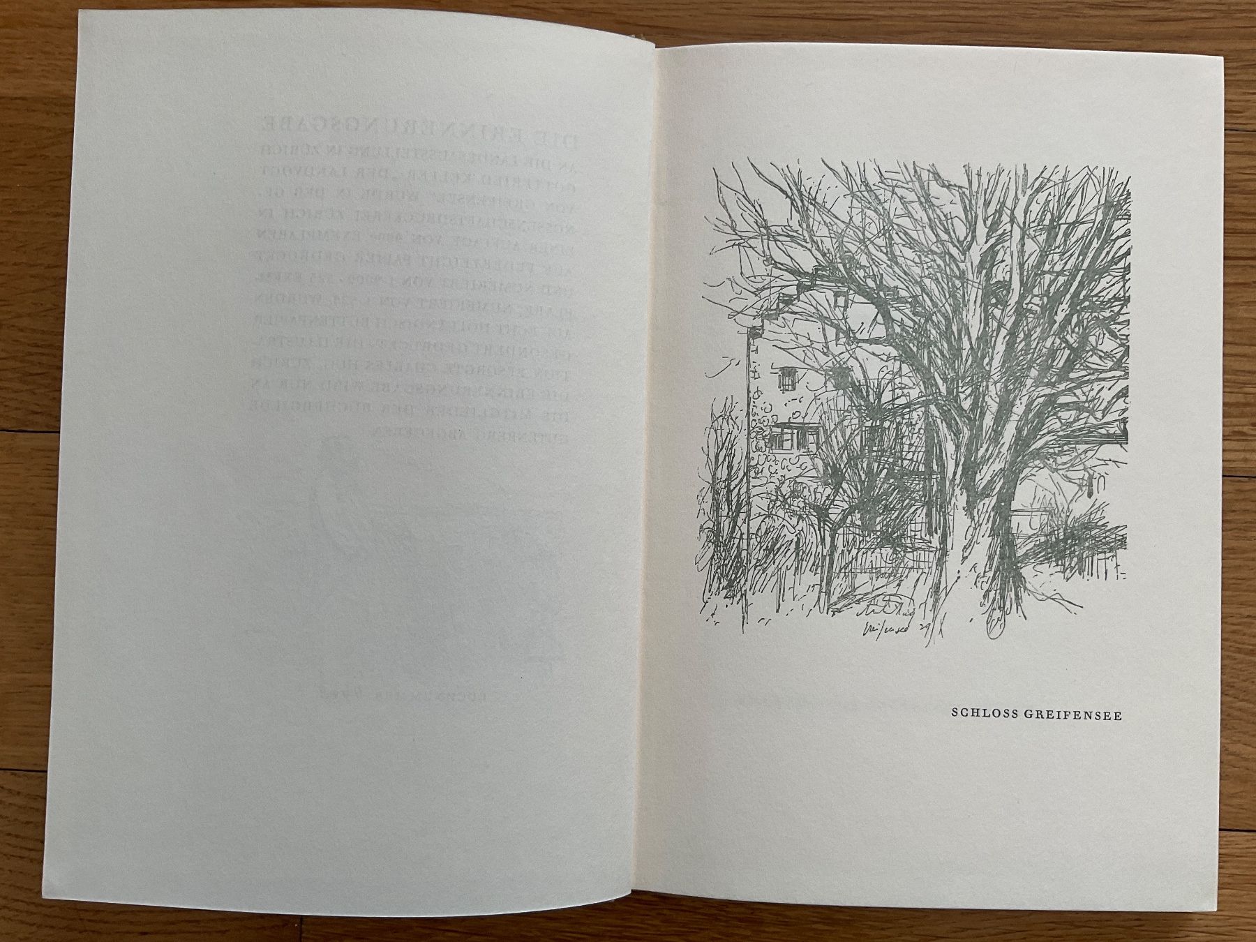 Bücher: Der Landvogt von Greifensee, Gottfried Keller – Gebraucht aus Breitenbach von geni014 5