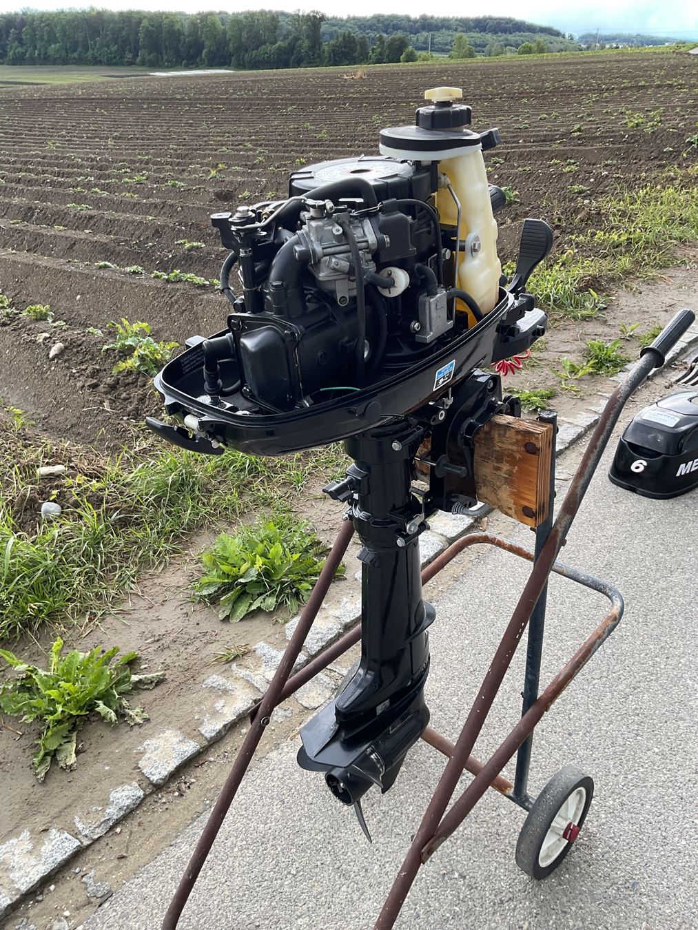 Mercury Motori: Aussenbordmotor Mercury F6M – Usato da Hagneck venduto da Kobogero 7