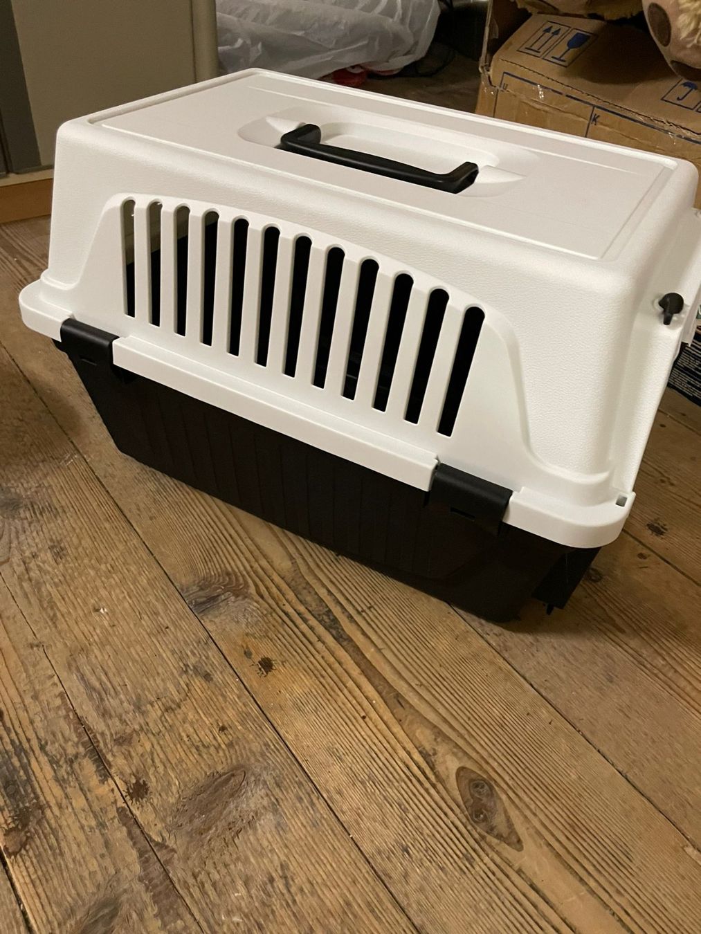 Gabbie, trasporto & Sicurezza: box per gatti 48*33 cm – Nuovo (secondo la descrizione) da Wohlen AG venduto da poliziotto008 1