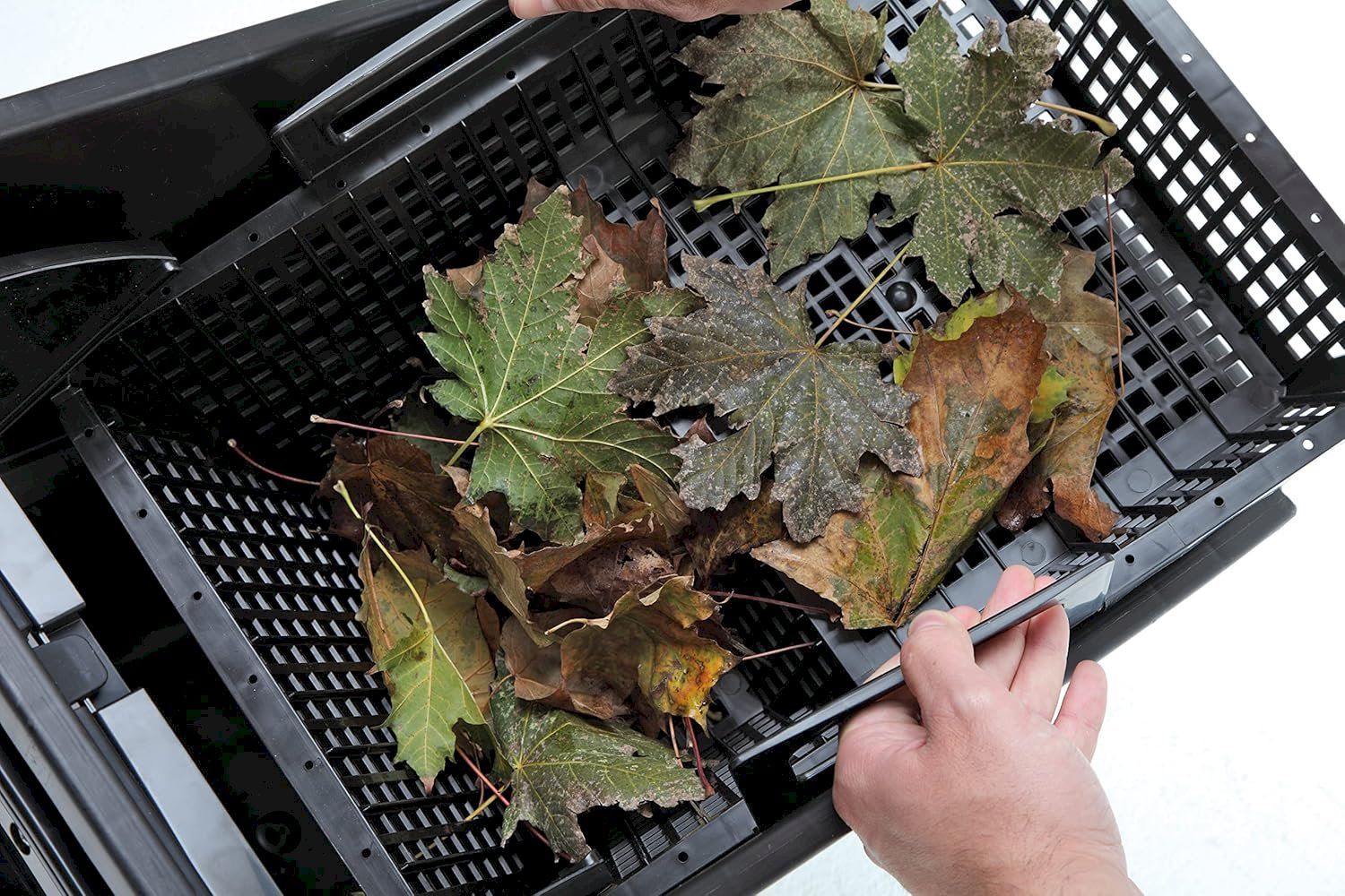 Oase Pompe & Parti di ricambio: Oase BioSys Skimmer plus – Nuovo e nell'imballaggio originale da Bottighofen venduto da zaap 2