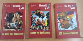 3 Die 3 ??? Kids Bücher TOP Zustand