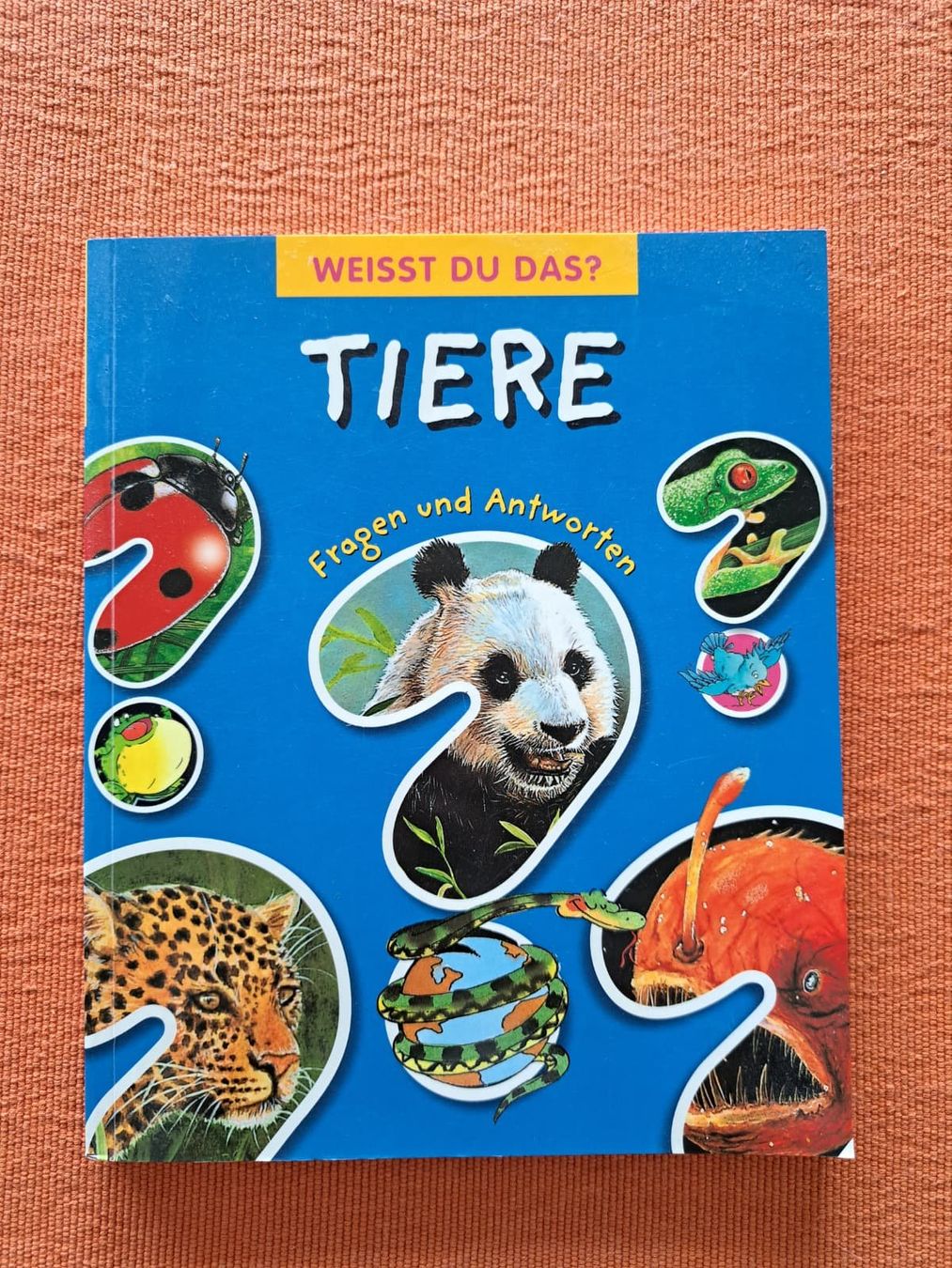 Giochi: Fragebuch über Tiere – Usato da Biel-Benken BL venduto da Salomonssiegel