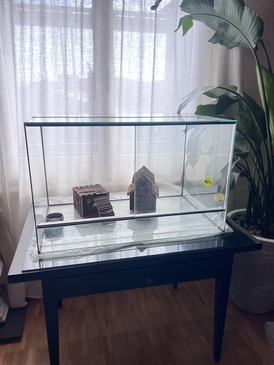 Terrario: Terrarium Neu – Nuovo e nell'imballaggio originale da zürich venduto da marc08 1