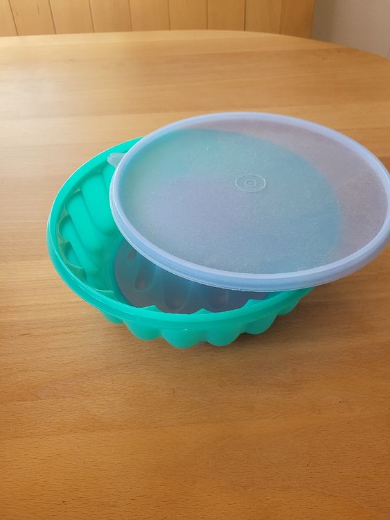 Tupperware Jelly Ring Kuchenform - Sommerliche Desserts (Gebraucht) in ...
