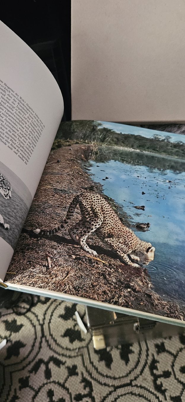 Libri: Buch "Belauschte Wildnis", 1963 – Nuovo (secondo la descrizione) da Belp venduto da Ginus85 4