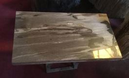 Tisch Fossil Couchtisch Versteinertes Holz petrified wood