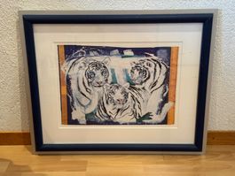 gerahmte Reproduktion von Rolf Knie, 3 weisse Tiger, 55x65cm