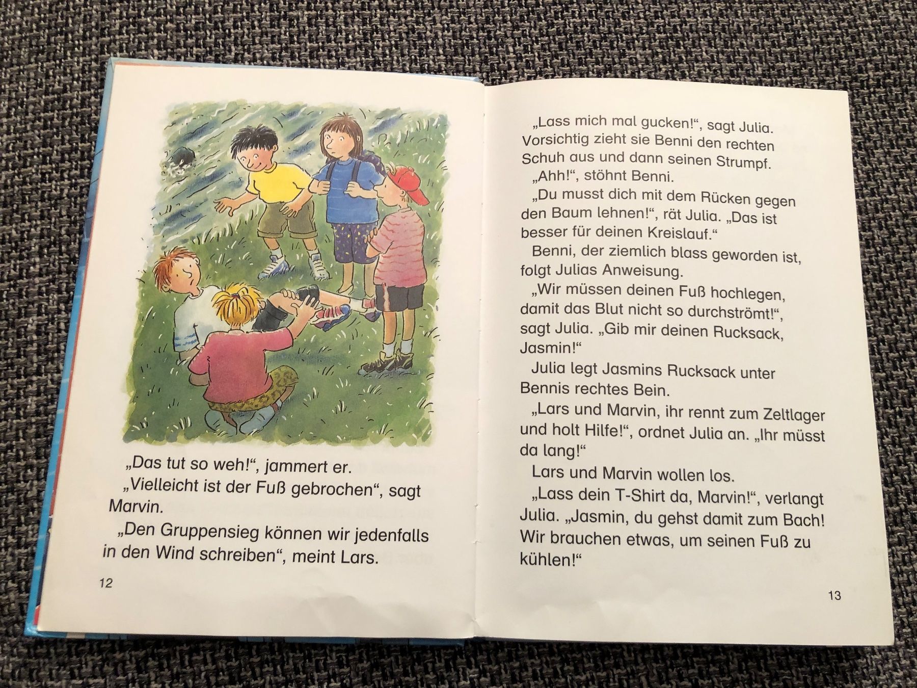 Libri: Feuerwehrgeschichten – Nuovo (secondo la descrizione) da Langnau am Albis venduto da snla_scc9 3