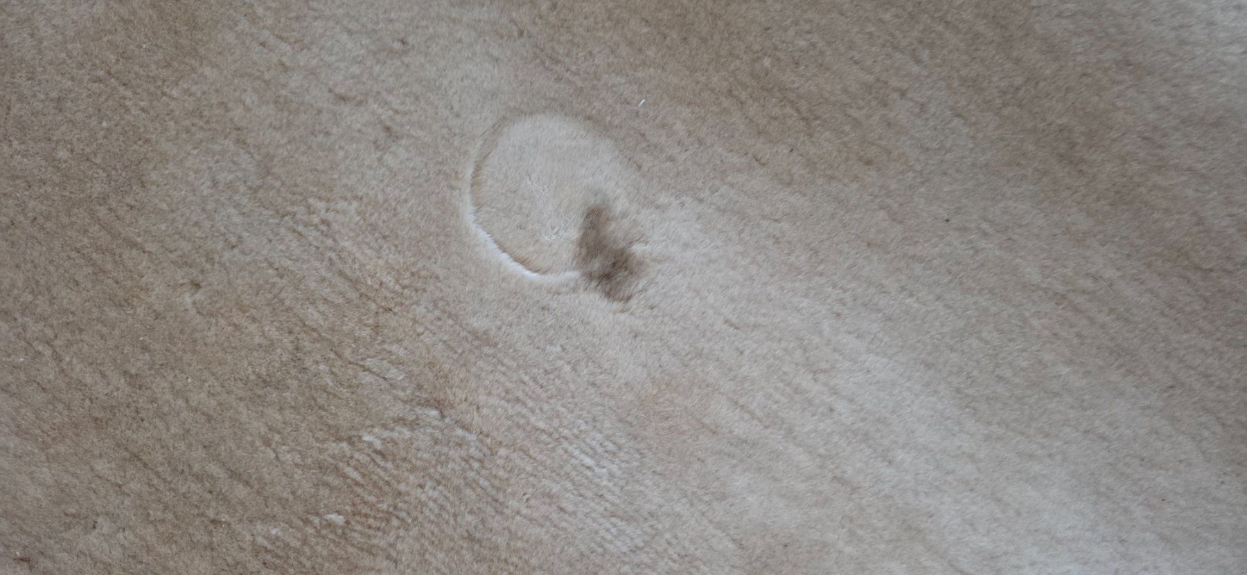 Teppiche: Tapis de luxe – Gebraucht aus La Chaux-de-Fonds von pas_6tyr 6