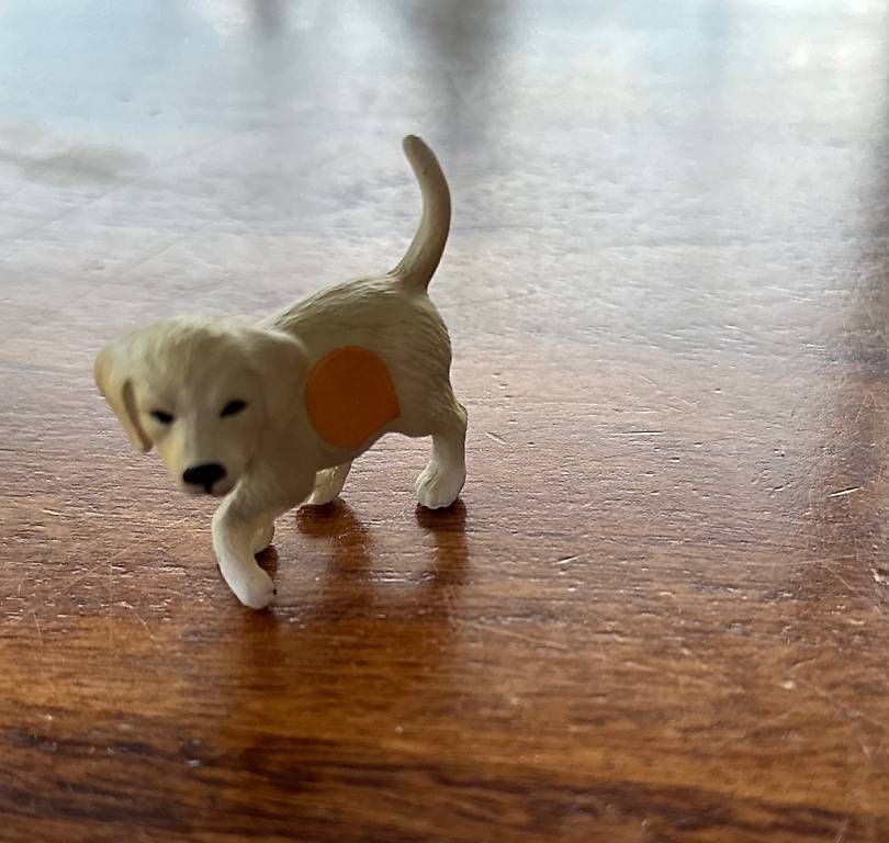 Spielzeuge: Tip Toi Hund – Gebraucht aus Solothurn von mel_ywc7 1