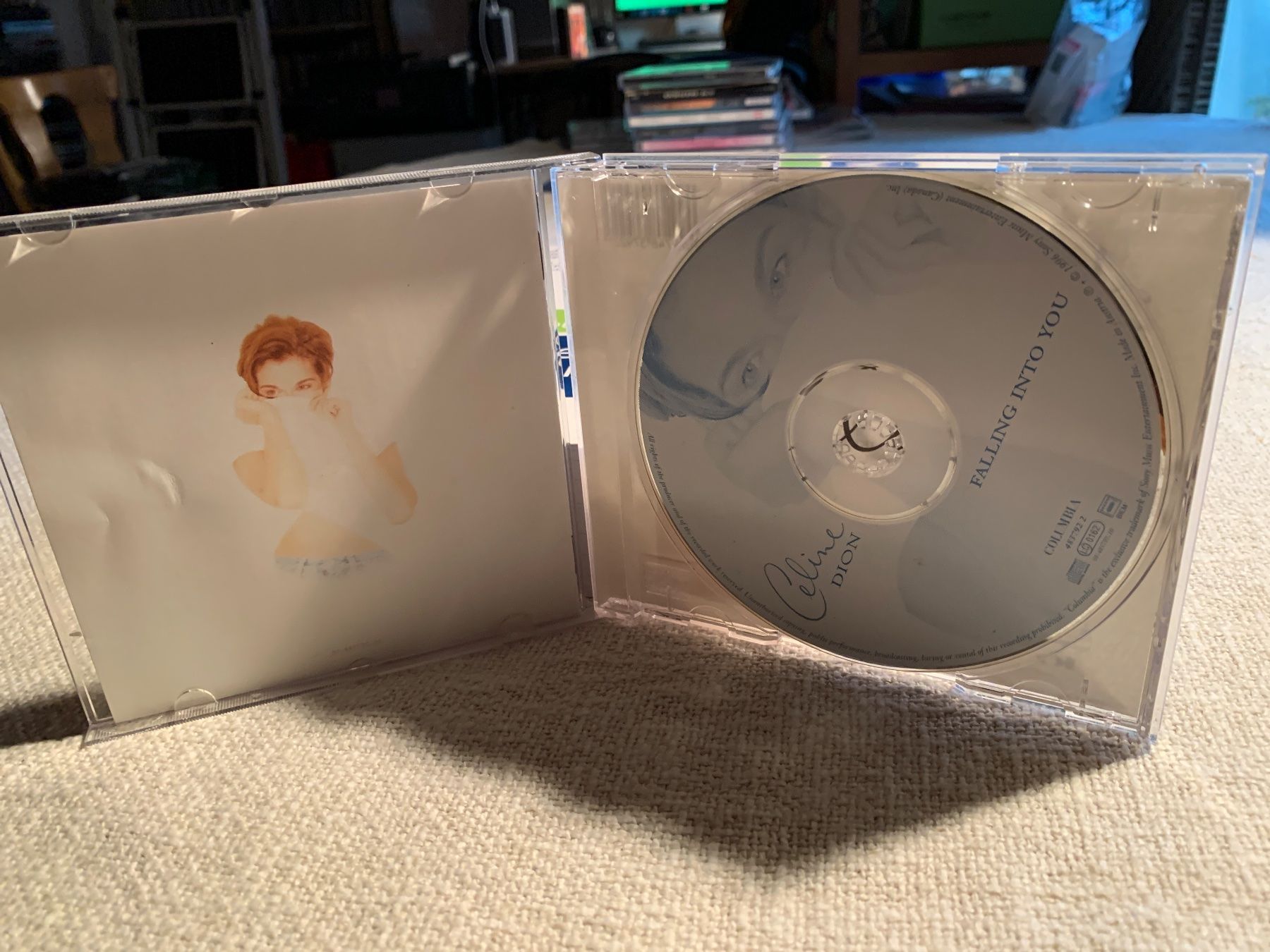 CD: Celine Dion - Falling Into You CD – Usato da Mönchaltorf venduto da gotteron07 1