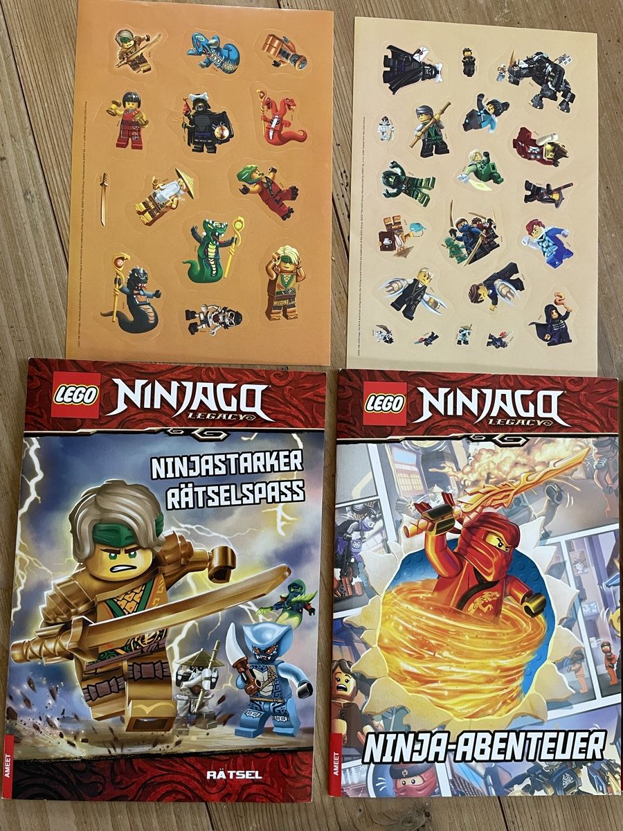Libri: LEGO – Usato da Siebnen venduto da Starlauf 2