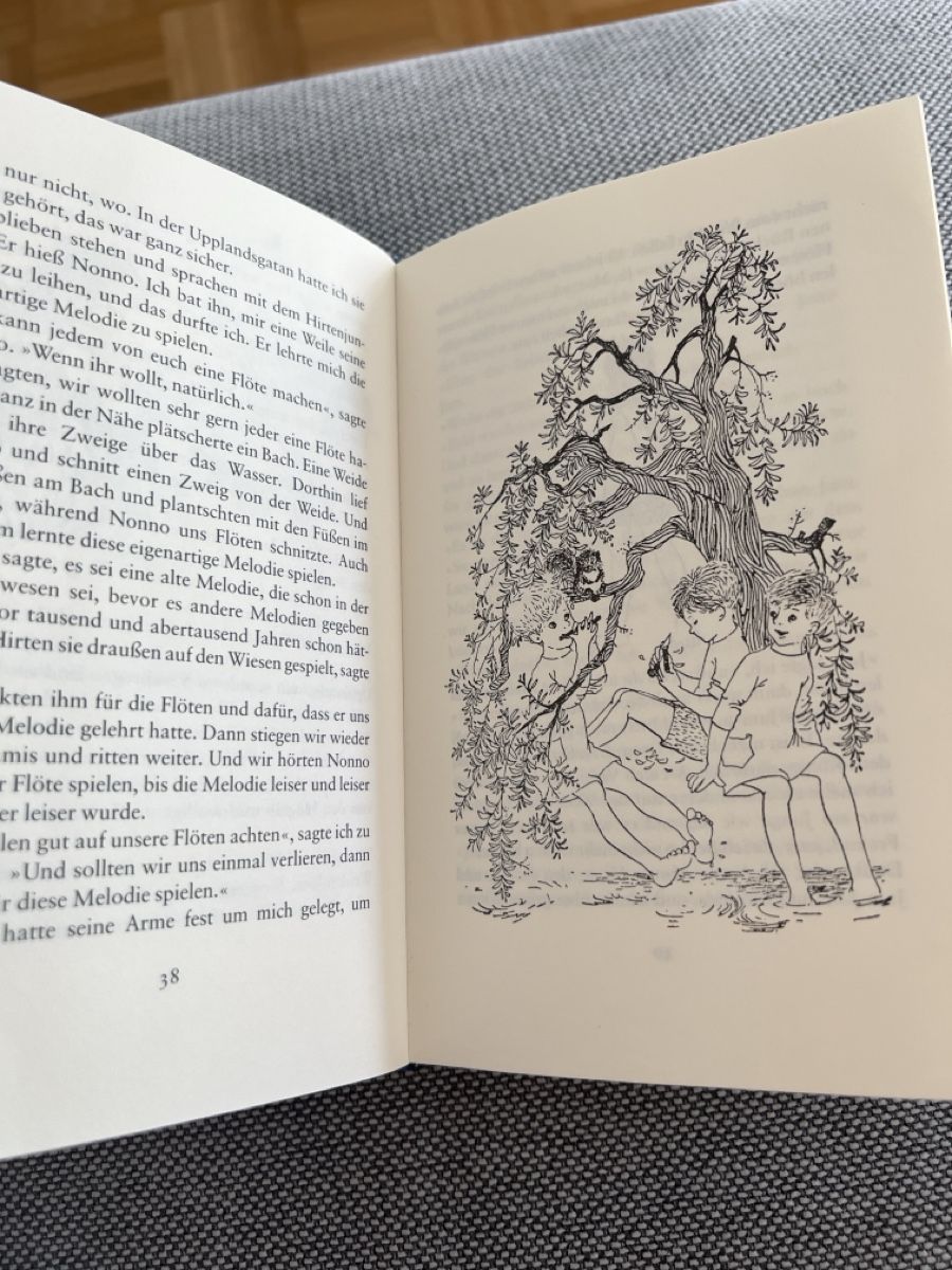 Libri: Mio, mein Mio – Usato da Winterthur venduto da ell_22rh 3