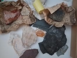 Lot de minéraux, pierres et fossiles