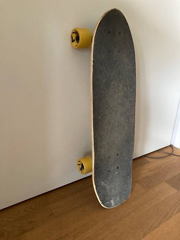 Skateboards: Skateboard Beach-Mountain – Gebraucht aus Luzern von Judith01112