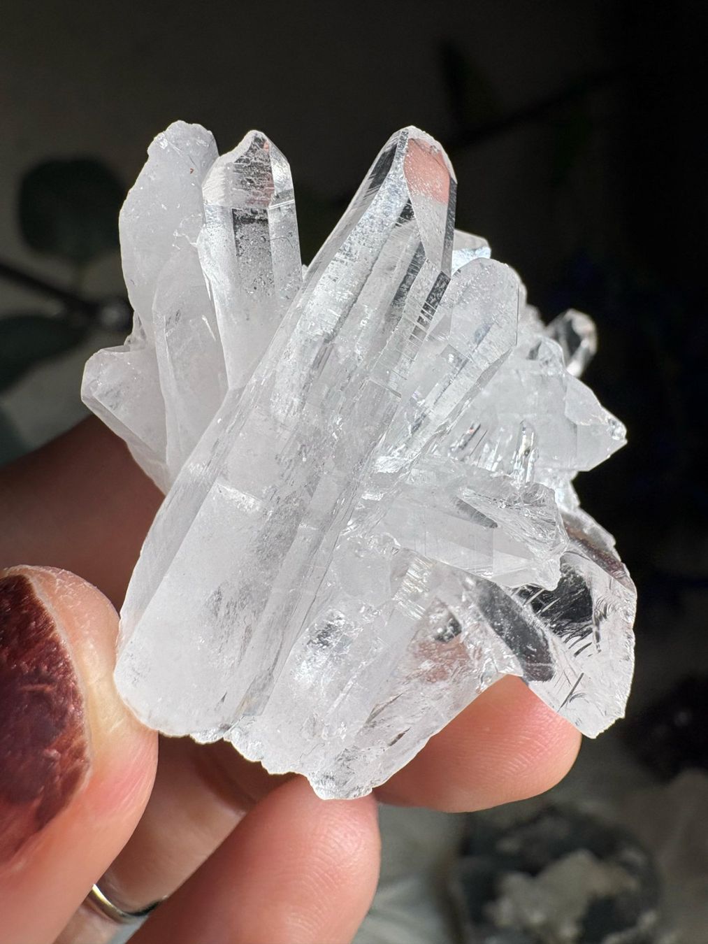 Minerali & Pietre curative: Kolumbianischer Lemurian-Quarz-Cluster – Nuovo (secondo la descrizione) da Neuheim venduto da m.hald 4
