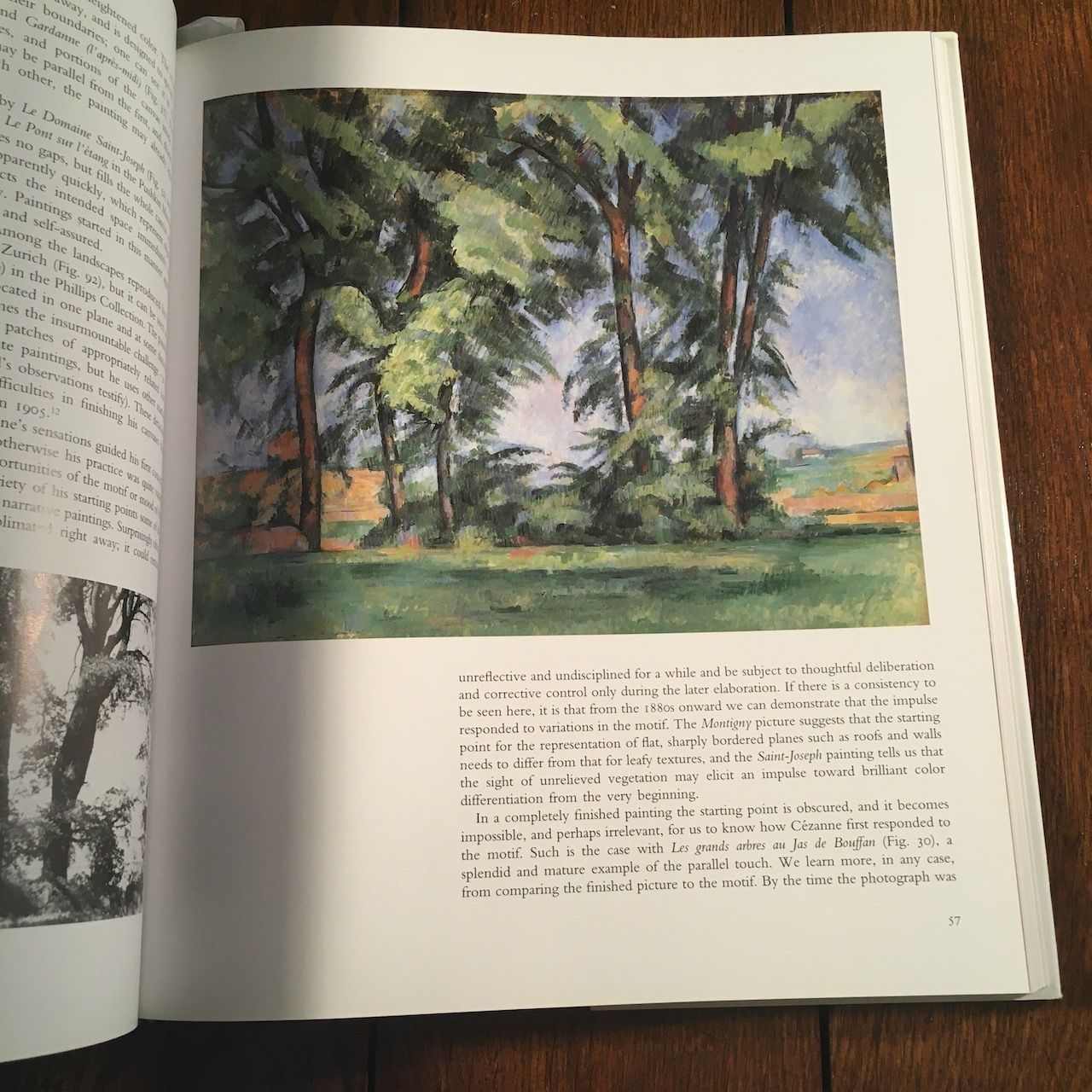 Bücher: Cézanne - Landscape into Art – Gebraucht aus Basel von Chamisso 8