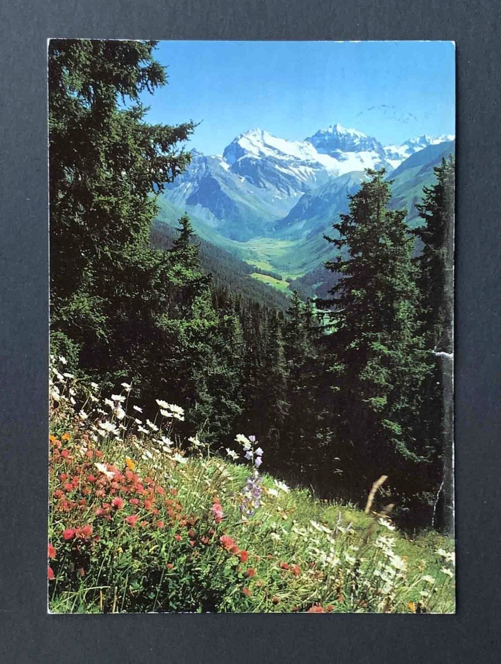 Cartoline postali: AK Davos Jakobshorn – Usato da Goldau venduto da artelier1