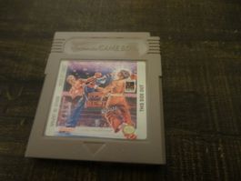 Best of the Best: Karate Game Boy