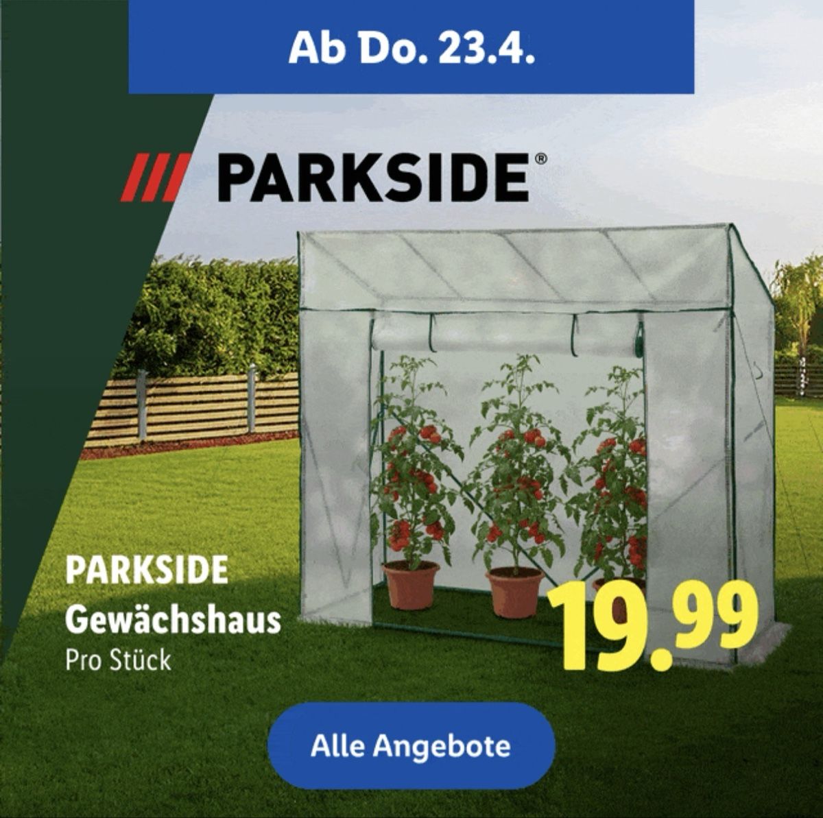 Gartenhäuser & Gewächshäuser: Gewächshaus  – Neu und originalverpackt aus Rüegsauschachen von nai_2jfm