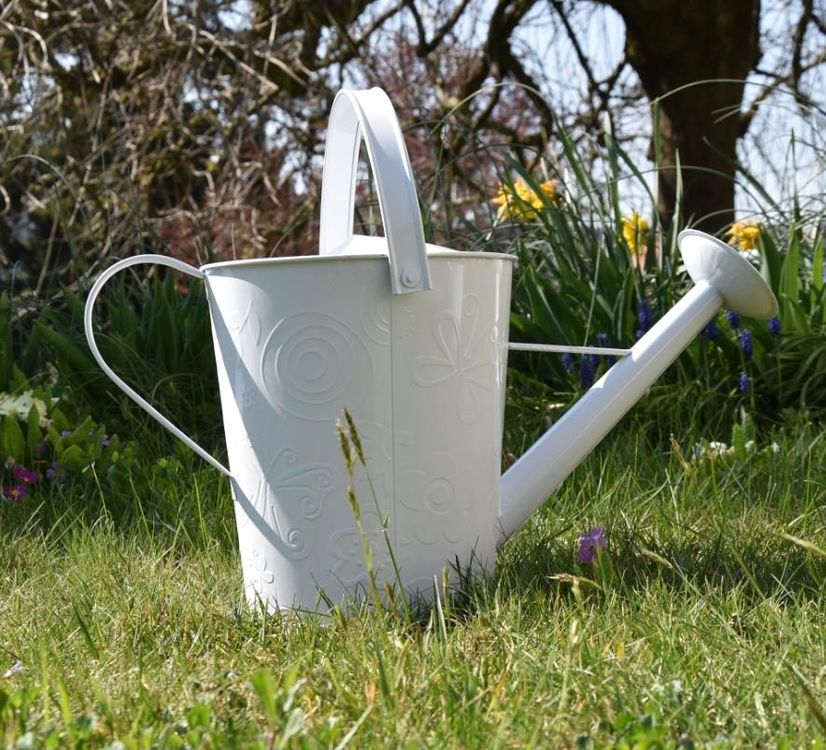 Giesskanne mit BlumenMotiv Kaufen auf Ricardo
