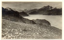 KÜSSNACHT AM RIGI Frühling auf Seebodenalp