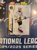 Sportzoo - HCA Ajoie Kevin Fey 04/10 - NLA 24/25