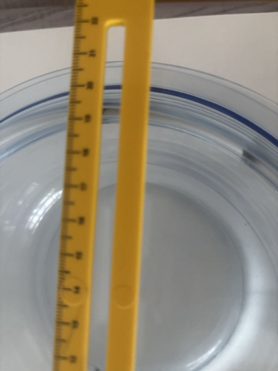 Pyrex Ciotole: Pyrex Form 2.5 Liter mit Deckel, Glas, Blau, – Usato da Wallisellen venduto da AS.TZ. 5