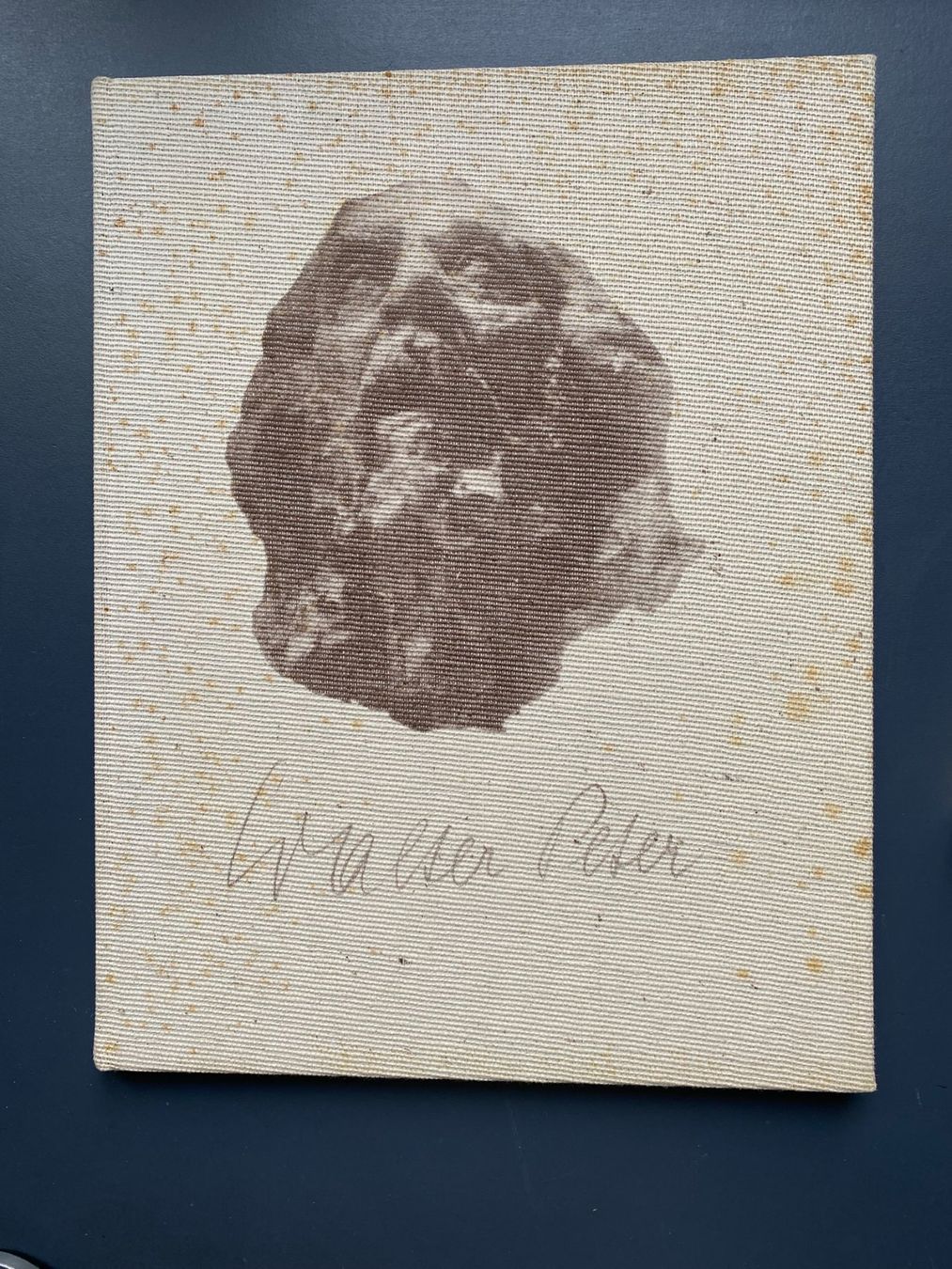 Libri: Walter Peter Bildhauer - Eine Rückschau – Usato da Zürich venduto da jesulin05
